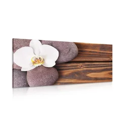 Slika wellness kamni in orhideja na lesenem ozadju - 60x30