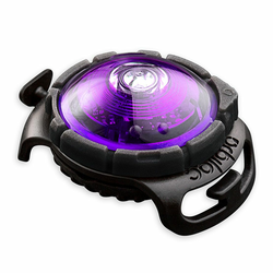 Orbiloc LED luč za ovratnico - viola