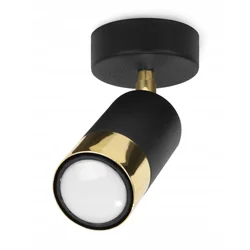 Stropni reflektor stenski GU10 LED reflektor