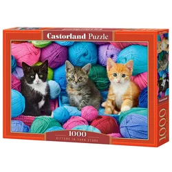 Castor 1000-delna sestavljanka. Muce v svežnju.