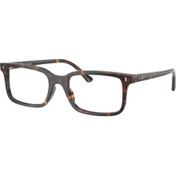 Ray-Ban RX5445 2012