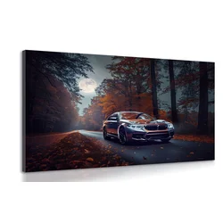 Slika BMW ob polni luni - 120x80