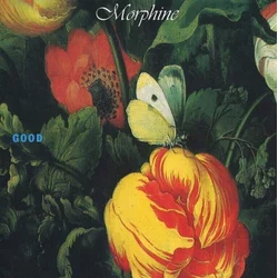 MORPHINE - GOOD