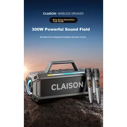 Claison Bluetooth karaoke zvučnik sa 2 mikrofona T91, Sivi