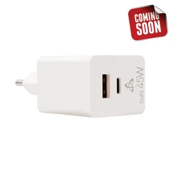 S BOX HC 45, 2 Ulaza 45W GAN Home Charger