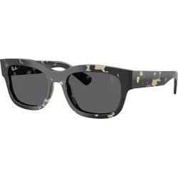 Ray-Ban RB2228M F70387