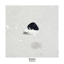 Darjeeling - Hokus Pokus (LP)