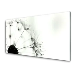 tulup.si Steklena slika Dandelion rastlin 140x70 cm 2 obešalnika
