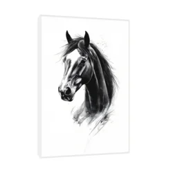 Canvas Slika na platnu Crni konj, 100x150cm, Sa ramom, Beli
