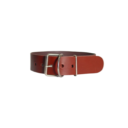 ALEXA LEATHER Ogrlica za pse Stylish, 50mm, Braon