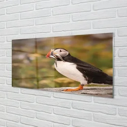 tulup.si Steklena slika Parrot 125x50 cm 2 obešalnika