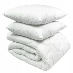 Dvojna odeja Easy Sleep 4-Seasons 180x200 cm + 2 vzglavnika 50x60 cm.