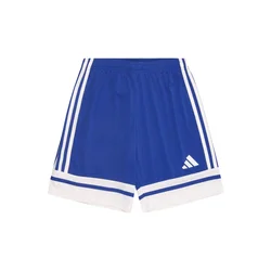 ADIDAS PERFORMANCE Športne hlače SQUA25 modra/bela