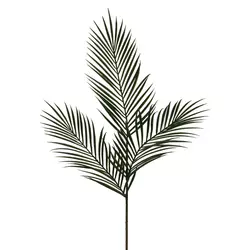 PALMIN LIST