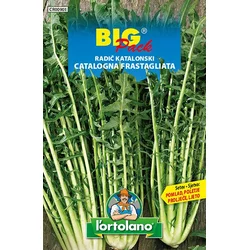 RADIČ KATALONSKI - Big pack 20g