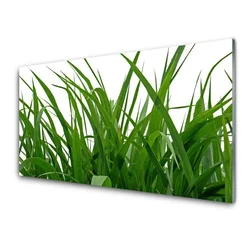 tulup.si Slika na steklu Grass nature rastlin 100x50 cm 2 obešalnika