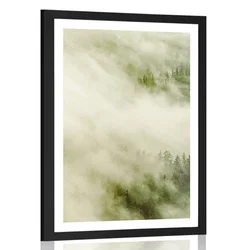 Plakat s paspartujem megleni gozd - 20x30 silver