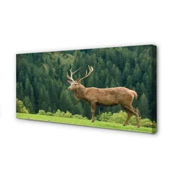 tulup.si Slika na platnu Deer na področju 125x50 cm