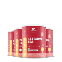 FatBurn Tea 4x