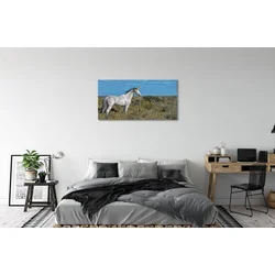 tulup.si Slika na platnu Unicorn golf 100x50 cm