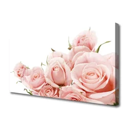 tulup.si Slika na platnu Roses flowers rastlin 140x70 cm