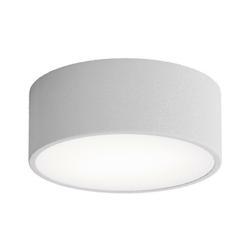 Kupatilsko stropno svetlo CLEO 1xE27/24W/230V prečnik 20 cm sivo IP54