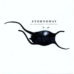 Stornoway - Beachcombers Windowsill (Reissue) (LP)