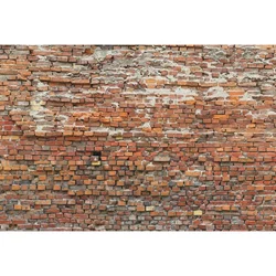 Komar foto tapet XXL4-025