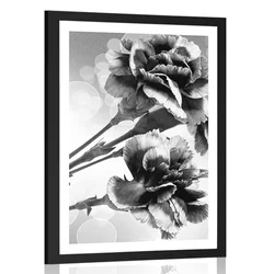 Plakat s paspartujem cvetovi naglja v črnobeli varianti - 30x45 white