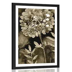 Plakat s paspartujem čudovite rože v sepia varianti - 40x60 no frame