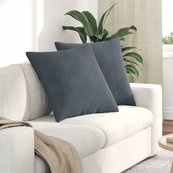 Jastučići za sofu 2 pcs Tamno siva 60 x 60 cm Kordura tekstil
