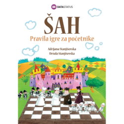 Šah, Pravila igre za početnike