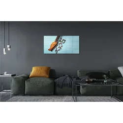 tulup.si Slika na steklu Kitara opombe 120x60 cm 4 obešalnika
