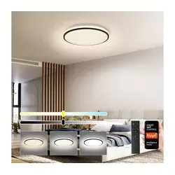 Brilagi - LED prigušiva plafonska svetiljka SMART 24W/230V prečnika 38 cm Wi-Fi Tuya + daljinski upravljač