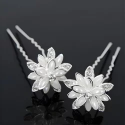 Ukosnica Star Flower KP1575
