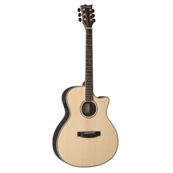 ESP LTD elektro akustična kitara Tombstone A-430E