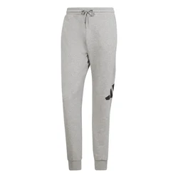 Adidas M BL FT PT, muške hlače, siva KRG08
