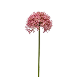 Umetni Alium 62 cm roza - roza - 50 do 75 cm