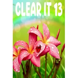 ClearIt 13 (PC) Steam Key GLOBAL