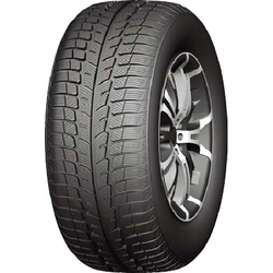 Zimska APLUS 225/65R16 112R A501