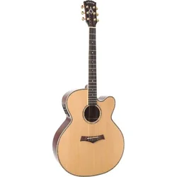 ARROW elektroakustična kitara Platinum J CE SIT/RW
