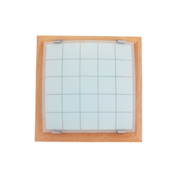 Zidno-plafonsko svetlo GEOMETRICA 1xE27/60W/230V 30x30 cm