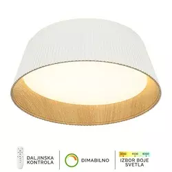 LED plafonska lampa FK2003-62C WH