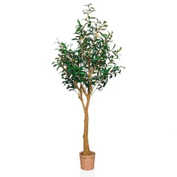 MID.YOU Umetna Rastlina Olive Ii