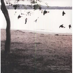 The Tallest Man On Earth - Theres No Leaving Now (LP)