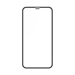 Zastitno staklo Nillkin PC Shatterproof za iPhone 12 Pro Max (6.7) crno