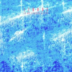 12 Rods - If We Stayed Alive (LP)