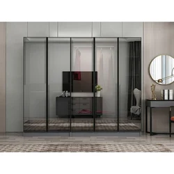 Hanah Home ormar sa reflektujućim staklom Nisa 20629, 225 cm, antracit