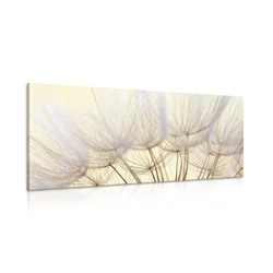 Slika regratovo seme - 60x30
