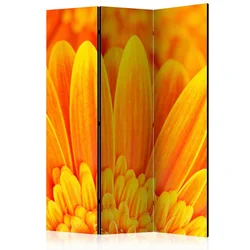 artgeist Paravan Yellow Garbera Daisies, 3-Delni, Dvostranski